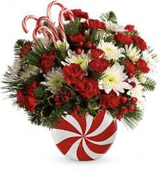Peppermint Treat from Westbury Floral Designs in Westbury, NY