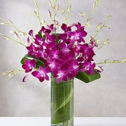 Awesome Orchids from Westbury Floral Designs in Westbury, NY