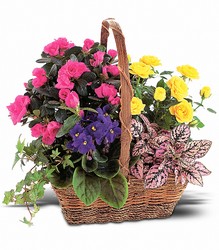 Blooming Garden Basket from Westbury Floral Designs in Westbury, NY