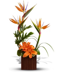 Bamboo Paradise from Westbury Floral Designs in Westbury, NY