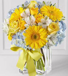 Deliver a Celebration from Westbury Floral Designs in Westbury, NY