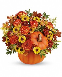 Warm Fall Wishes - T13H110C from Westbury Floral Designs in Westbury, NY