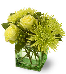 Green Light from Westbury Floral Designs in Westbury, NY