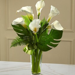 Elegance in Beauty from Westbury Floral Designs in Westbury, NY